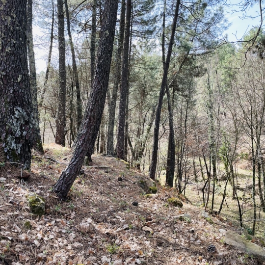  ACI - Agence Centrale Immo : Terrain | MERCUER (07200) | 30 m2 | 110 000 € 