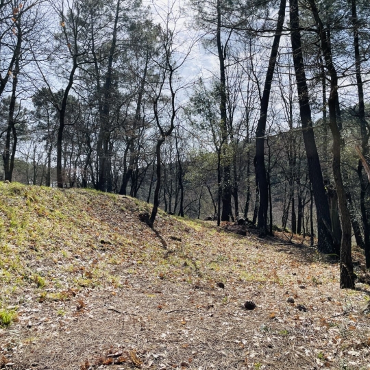  ACI - Agence Centrale Immo : Terrain | MERCUER (07200) | 30 m2 | 110 000 € 