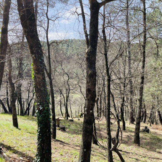  ACI - Agence Centrale Immo : Terrain | MERCUER (07200) | 30 m2 | 110 000 € 