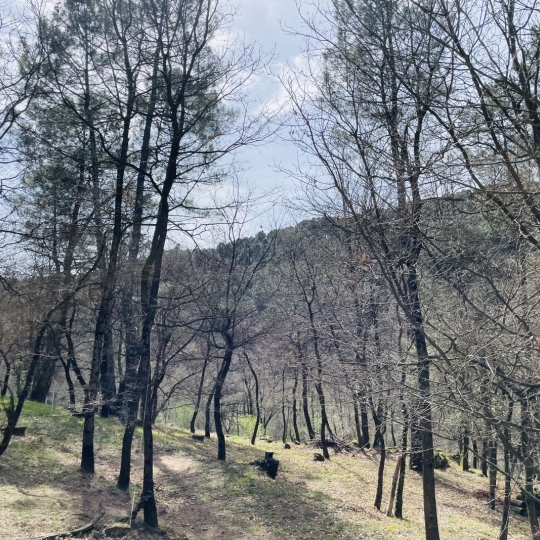  ACI - Agence Centrale Immo : Terrain | MERCUER (07200) | 30 m2 | 110 000 € 