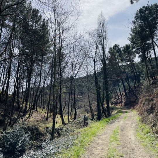  ACI - Agence Centrale Immo : Terrain | MERCUER (07200) | 30 m2 | 110 000 € 