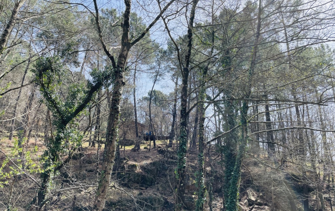 ACI - Agence Centrale Immo : Terrain | MERCUER (07200) | 30 m2 | 110 000 € 
