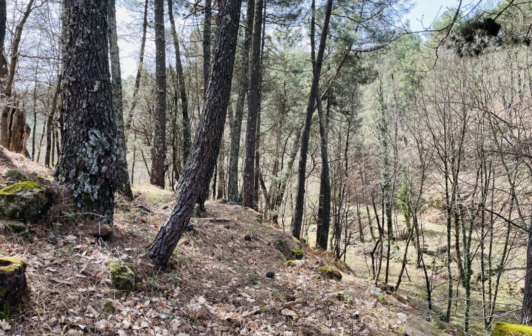 ACI - Agence Centrale Immo : Terrain | MERCUER (07200) | 30 m2 | 110 000 € 