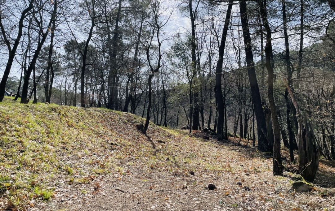 ACI - Agence Centrale Immo : Terrain | MERCUER (07200) | 30 m2 | 110 000 € 