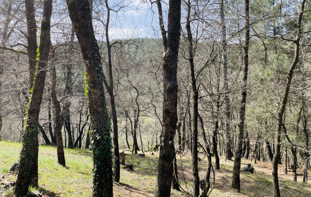 ACI - Agence Centrale Immo : Terrain | MERCUER (07200) | 30 m2 | 110 000 € 