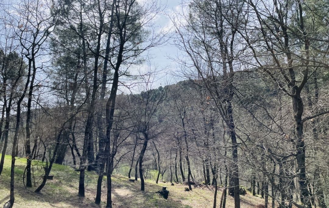 ACI - Agence Centrale Immo : Terrain | MERCUER (07200) | 30 m2 | 110 000 € 