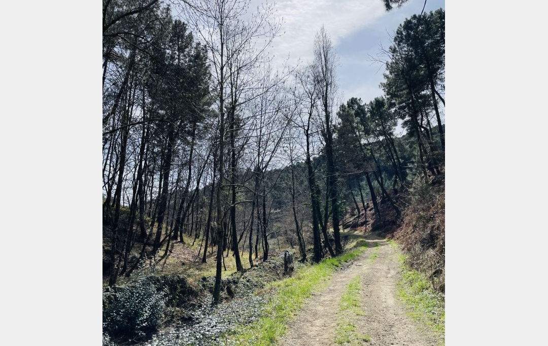 ACI - Agence Centrale Immo : Terrain | MERCUER (07200) | 30 m2 | 110 000 € 