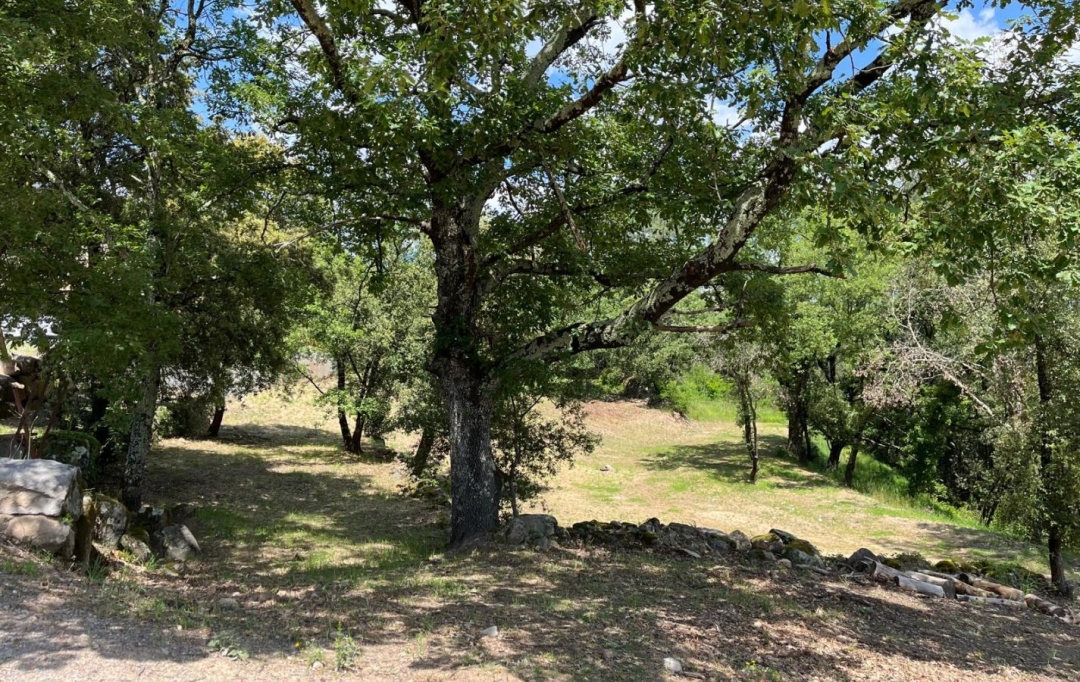 ACI - Agence Centrale Immo : Terrain | AUBENAS (07200) | 0 m2 | 119 000 € 